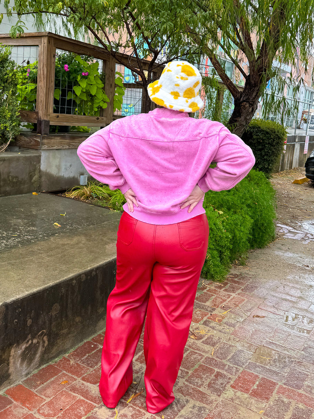 Candy Skies Mauve Half Zip(S-3XL)