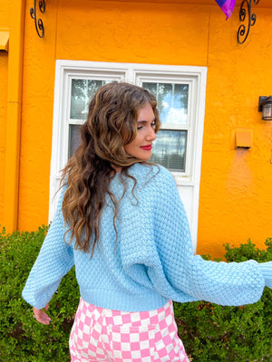 Ice Blue Cropped Sweater *Extended Sizes