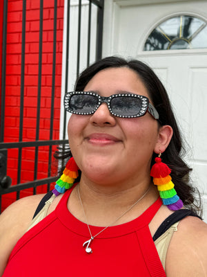 Rainbow Tassle Earrings