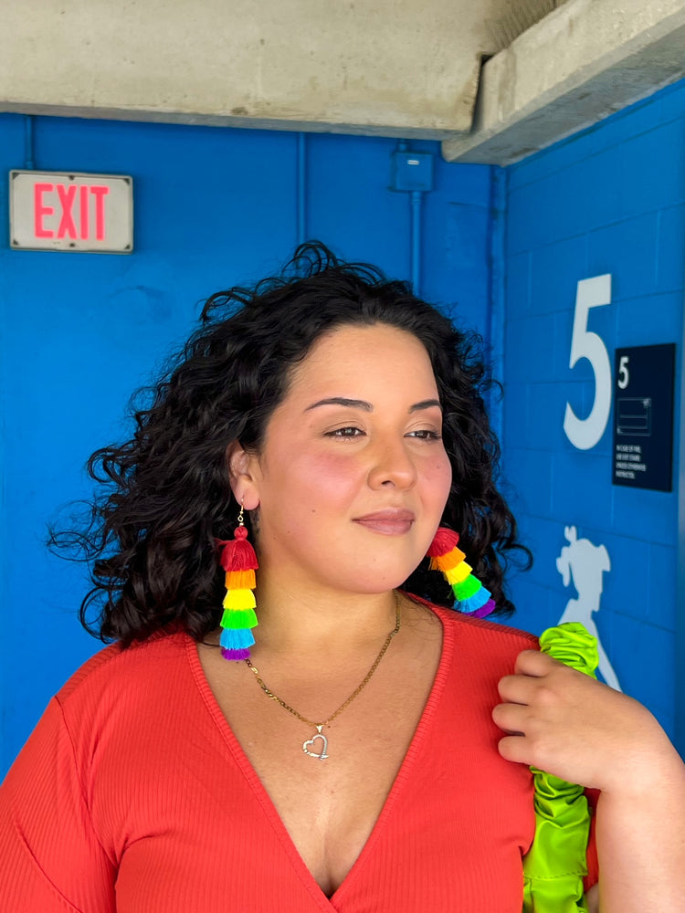 Rainbow Tassle Earrings